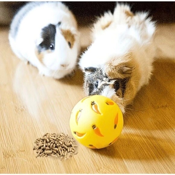 Small Animal Treat Ball Interactive Pet Toy Guinea Pigs, Rabbits, Hedgehogs - Picture 1 of 5